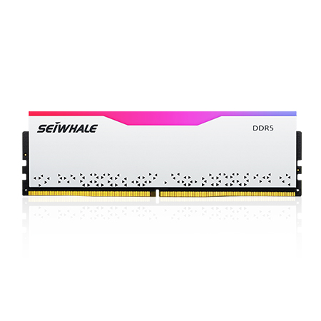 RGB DDR5 Ram For Desktop