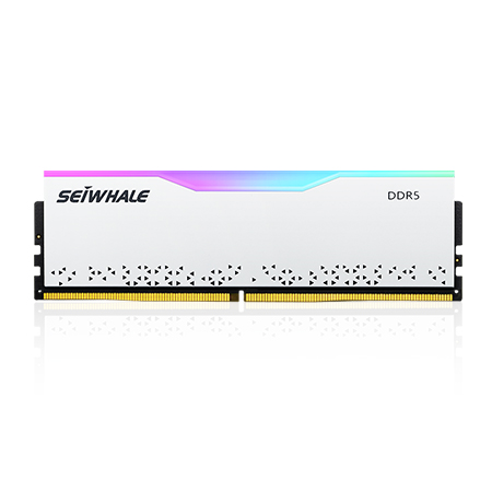 RGB DDR5 Ram For Desktop